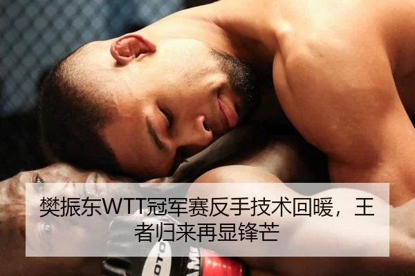 樊振东WTT冠军赛反手技术回暖，王者归来再显锋芒