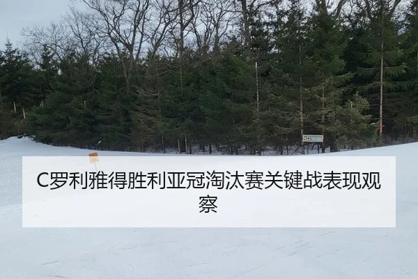 luo-li-ya-de-sheng-li-ya-guan-tao-tai-sai-guan-jian-zhan-biao-xian-guan-cha-2-986.jpg