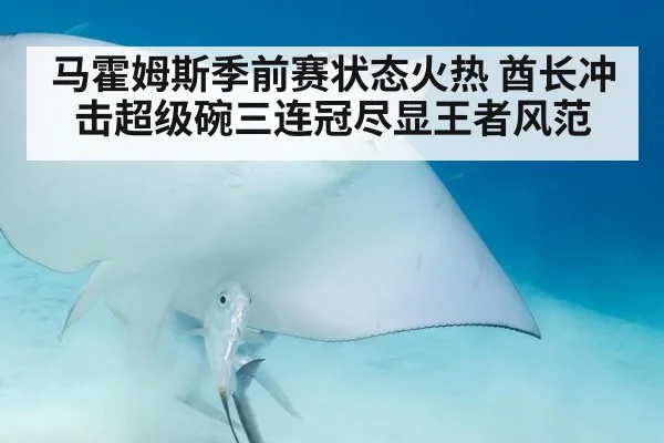 马霍姆斯季前赛状态火热 酋长冲击超级碗三连冠尽显王者风范